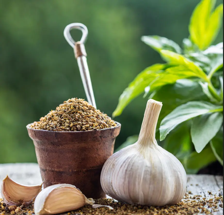 Mélange à base d’ail pour éloigner les nuisibles de votre jardin